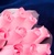 Long-Stemmed Wood Rose Bouquet - Pink