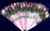 25 Assorted Single Long-Stemmed Roses